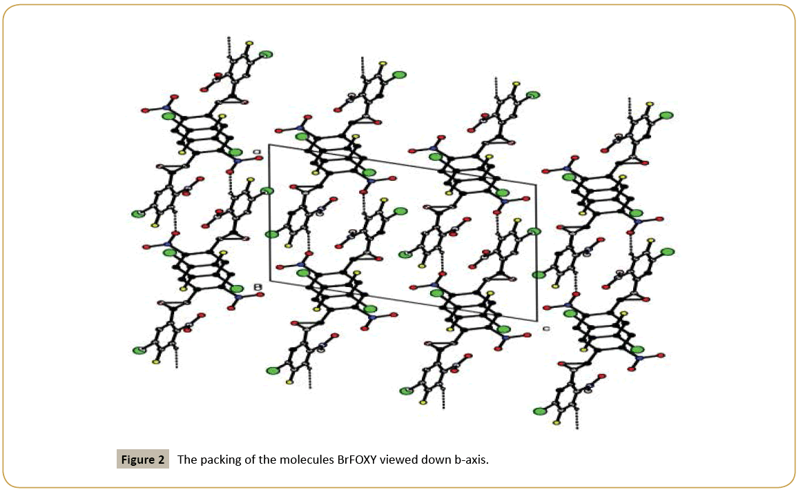 structural-crystallography-BrFOXY-viewed