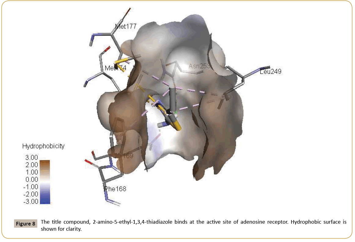 structural-crystallography-thiadiazole-binds